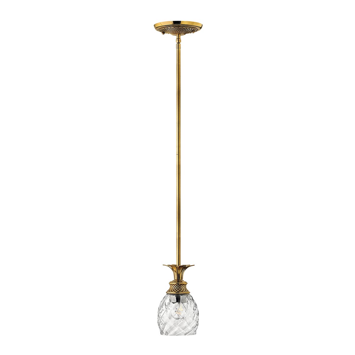 Hinkley - Plantation 1 Light Pendant