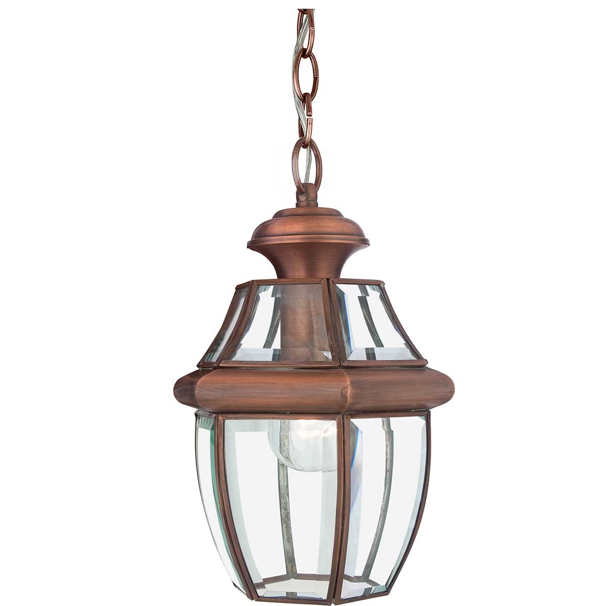 Quoizel - Newbury 1 Light Medium Chain Lantern