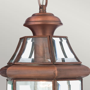 Quoizel - Newbury 1 Light Medium Chain Lantern